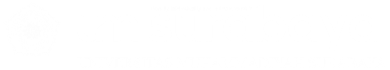 logo light