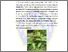 [thumbnail of Bab 2_Elok Siti Nurjannah_20221666036.pdf]