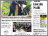 [thumbnail of Artikel]