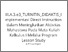 [thumbnail of Turnitin]