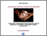 [thumbnail of Artikel jurnal]