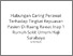 [thumbnail of Turnitin]