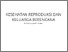 [thumbnail of Turnitin]