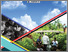 [thumbnail of Buku]