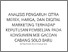[thumbnail of ANALIS~1.PDF]