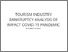 [thumbnail of TOURISM INDUSTRY BANKRUPTCY ANALYSIS OF IMPACT COVID-19 PANDEMIC.pdf]