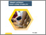 [thumbnail of Buku Panduan Terapi Latihan Foot Core Stability]